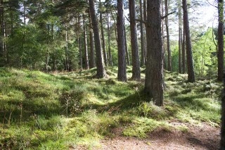 Metsässä samoilu kiinnostaa nyt myös ulkomaalaisia